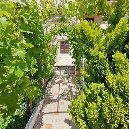 Fani Apartman *