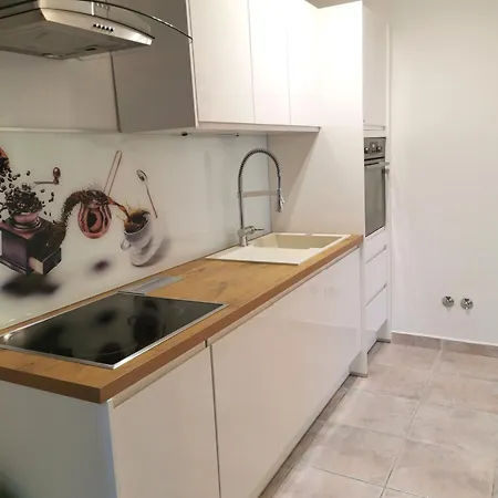 Apartment Fani *